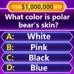 trivia master word quiz game