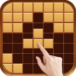 wood block puzzle block game